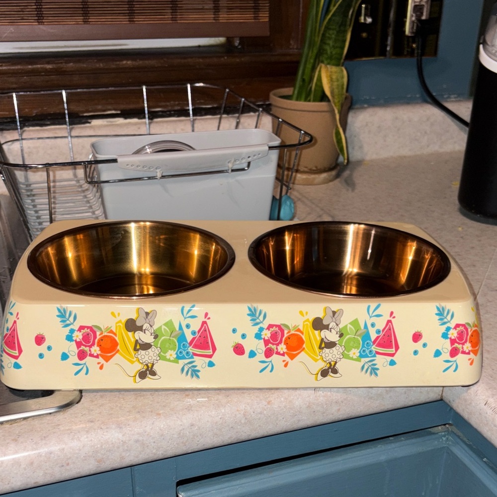 Disney Cream Pet Bowl with Gold and Colorful Accents